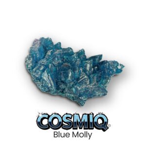 blue molly cosmiq club