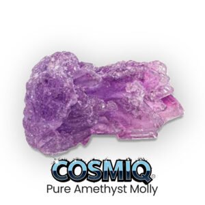 pure amethyst molly cosmiq club