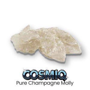 pure champagne molly cosmiq club