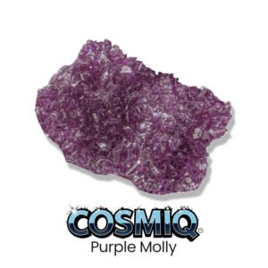purple molly cosmiq club