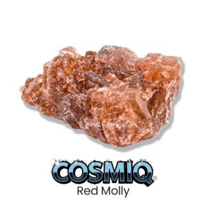 red molly cosmiq club