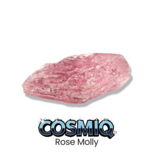 rose molly cosmiq club